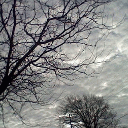 Sloth (USA-2) : In the Grip of Winter